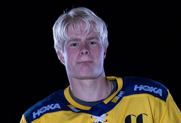 Storhamarhistorikk