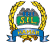 Storhamarhistorikk
