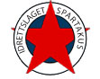 Storhamarhistorikk