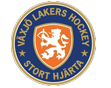 Storhamarhistorikk