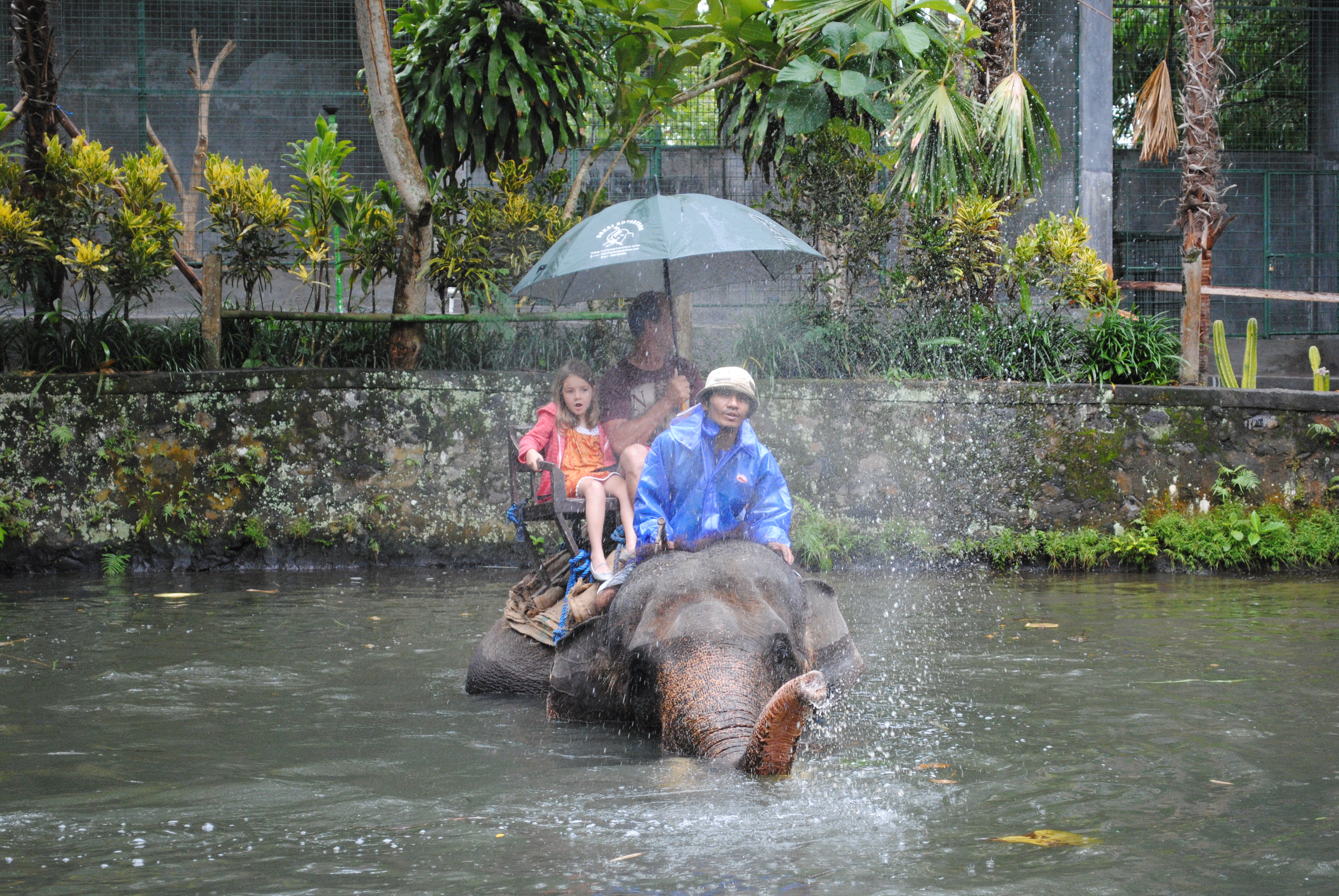 Ruby looked surprised as the elephant make a splash