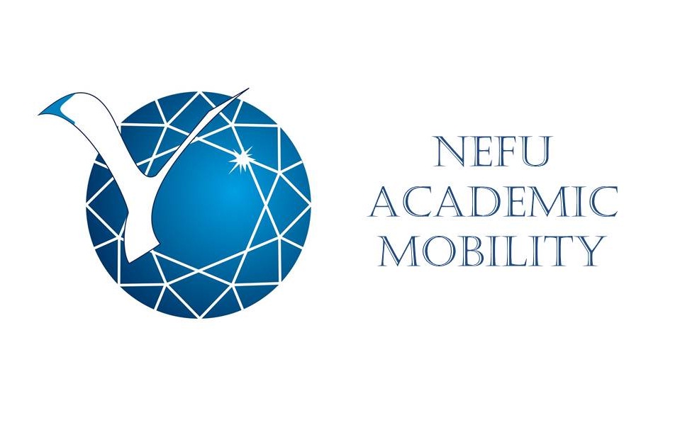 Northeast Federal University