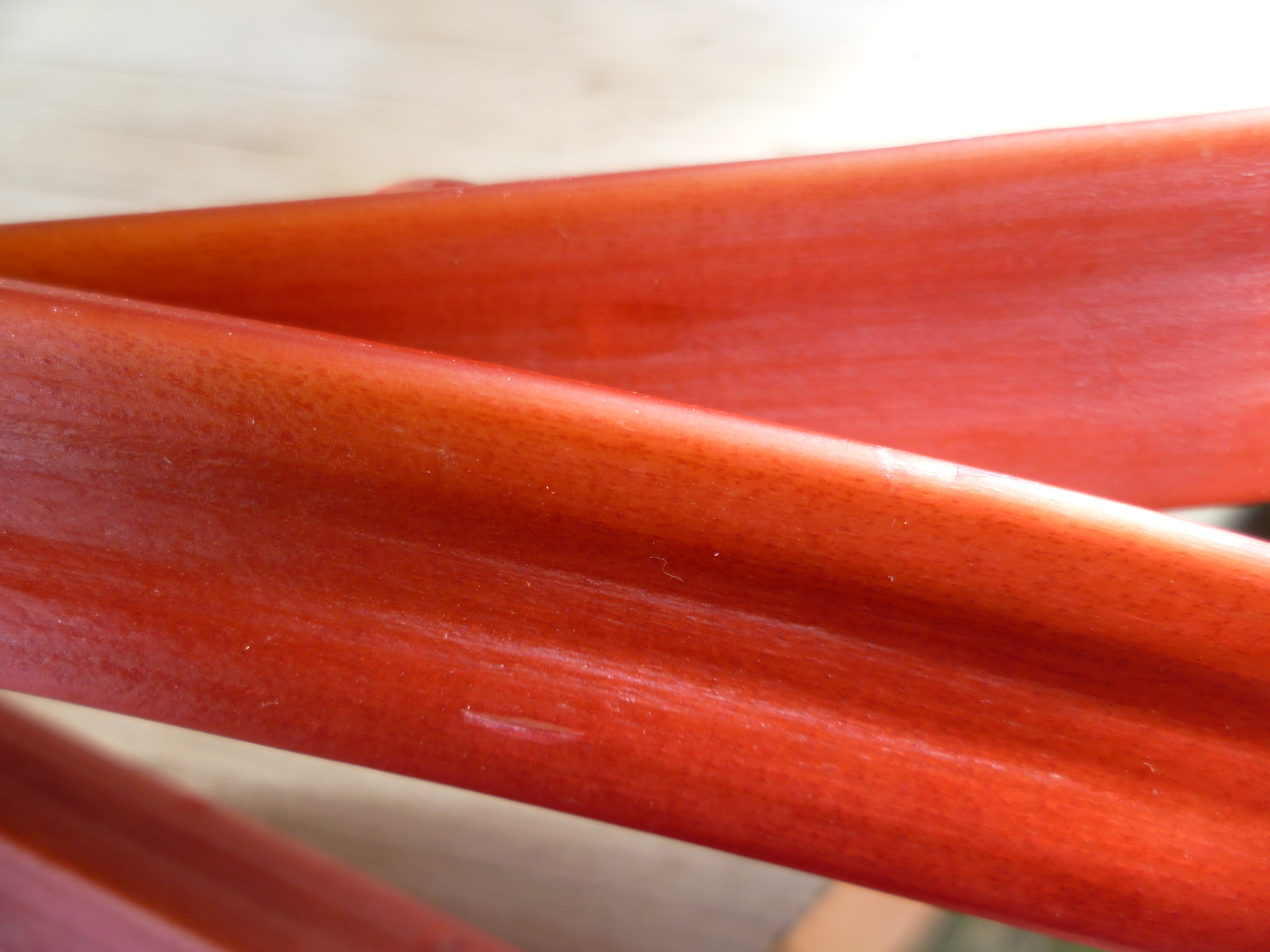 Rhubarb