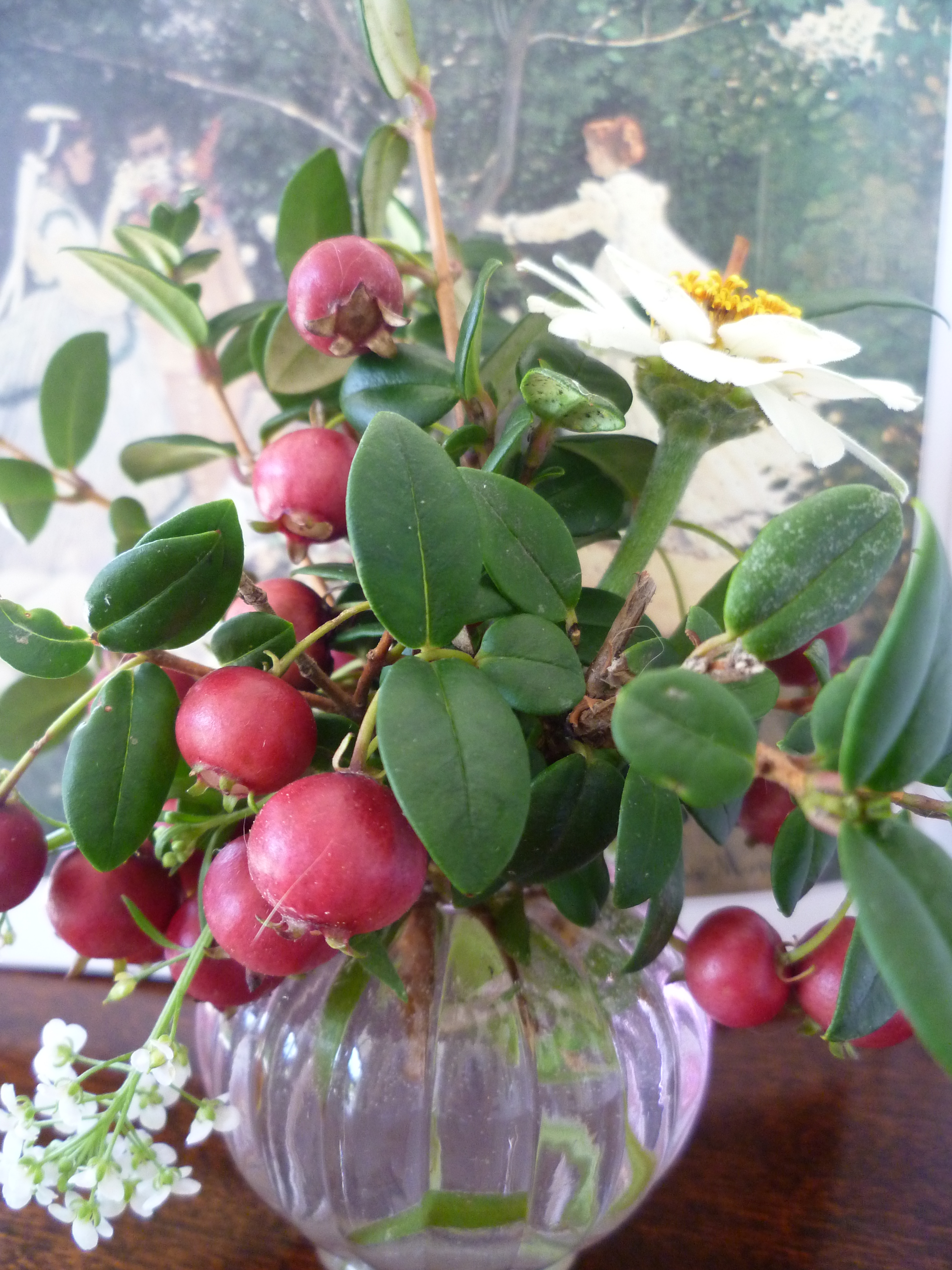 Chilean Guava and Zinnia