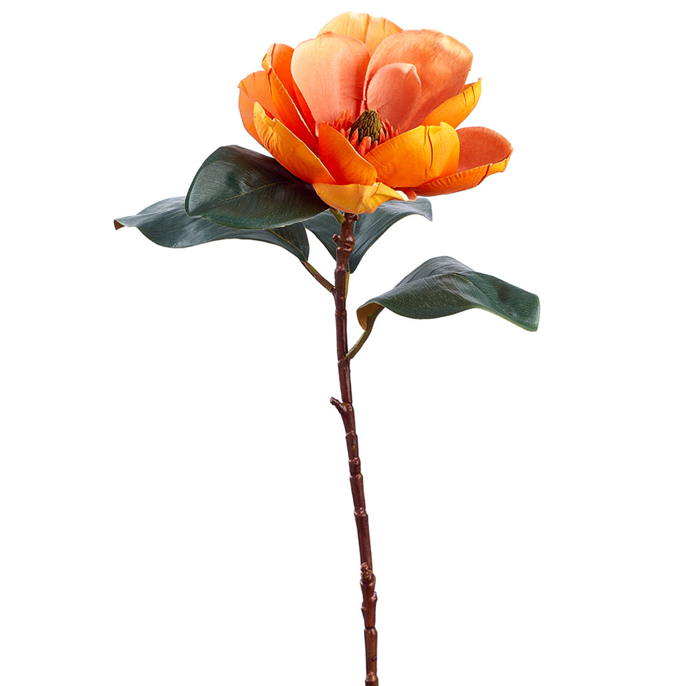 Magnolia, Orange, 29in