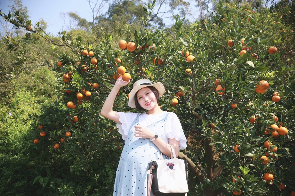 孕期穿搭│棠棠媽咪孕婦裝。時尚哺乳衣從產前穿到產後～(32W~36W)*