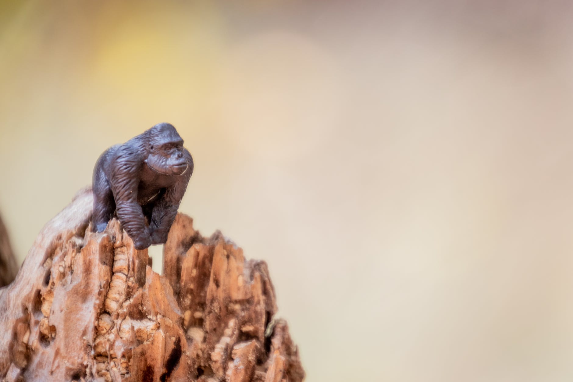 close up photo of a gorilla miniature toy