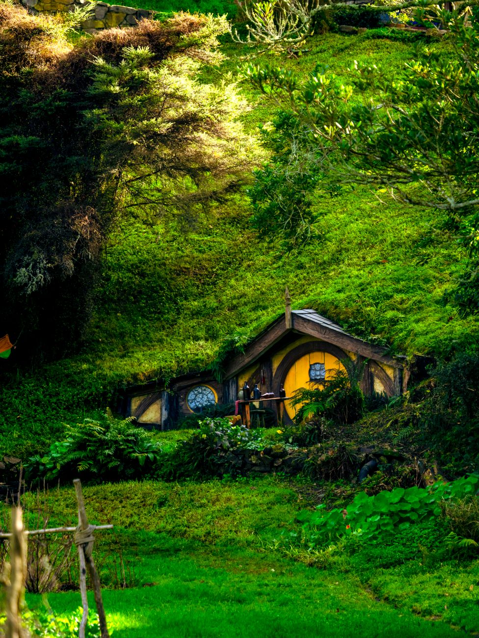 charming hobbit house in lush greenery