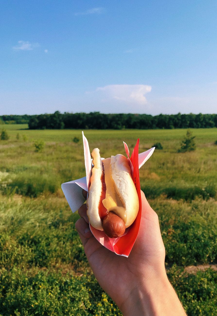 person holding hotdog sandwich