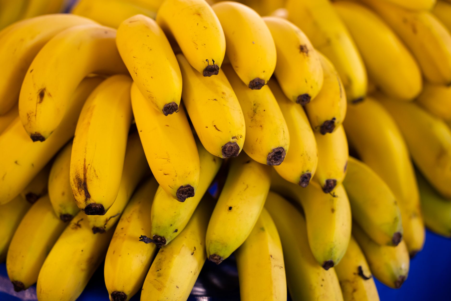close up shot of yellow banana