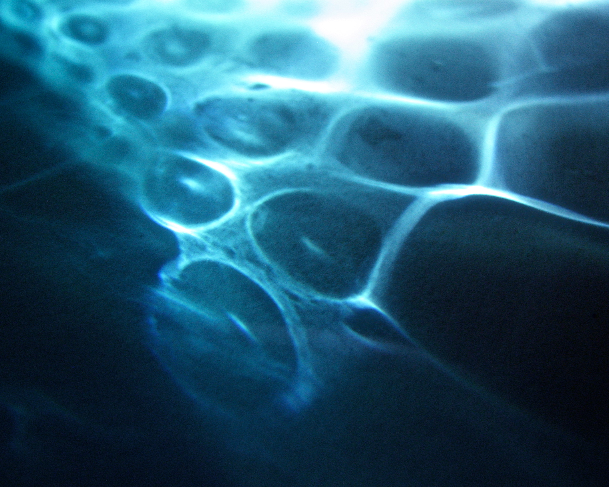 IMG_4179 - Version 4