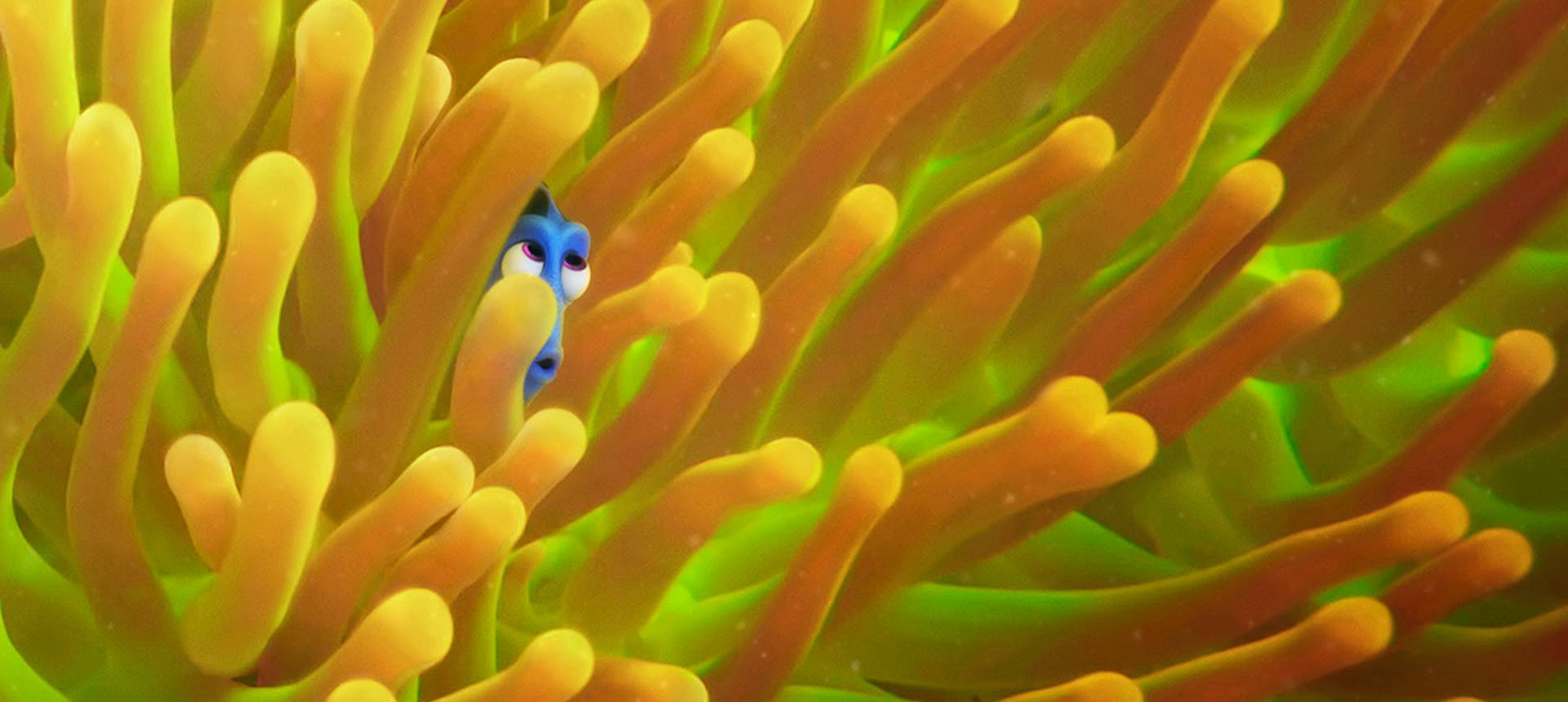 Out in Theaters: ‘FINDING DORY’