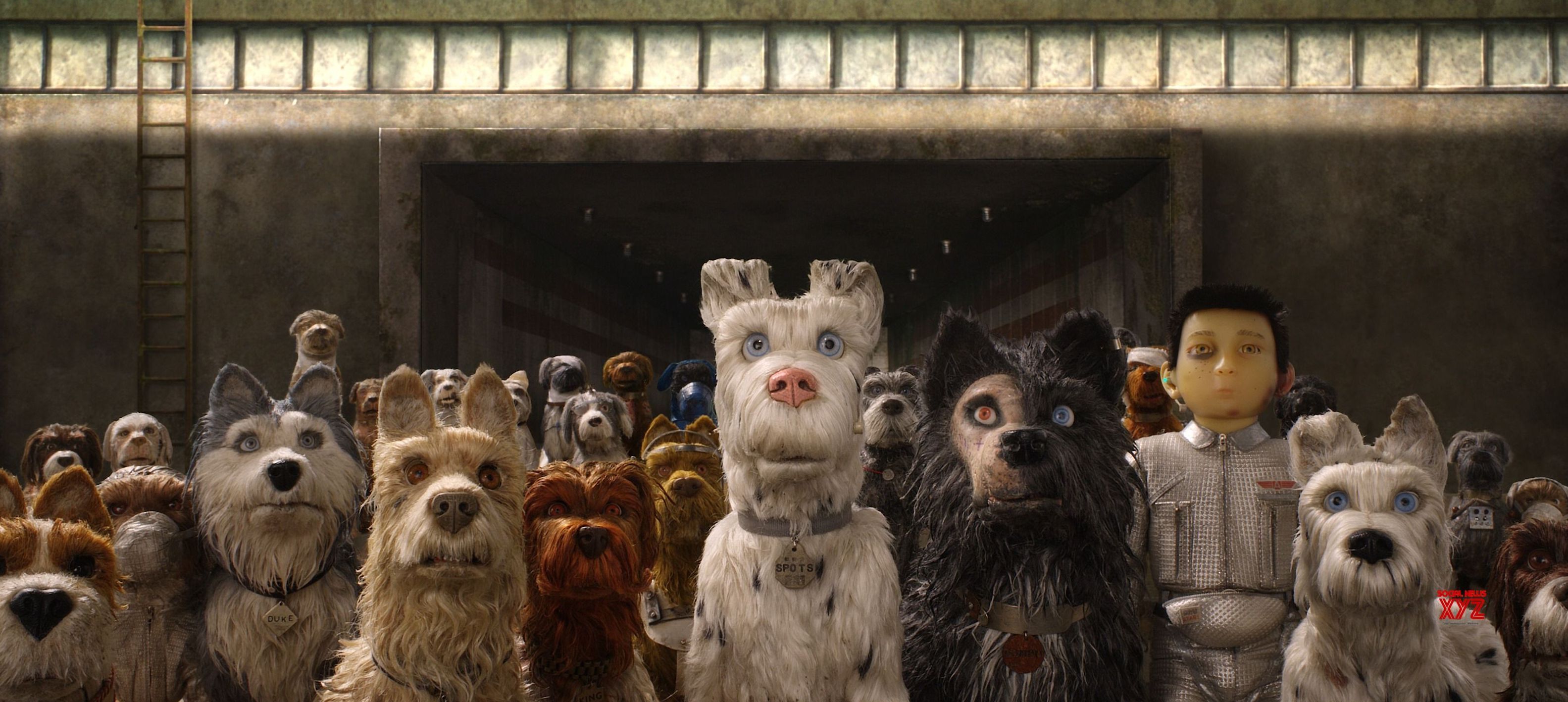 Out in Theaters: ‘ISLE OF DOGS’ 