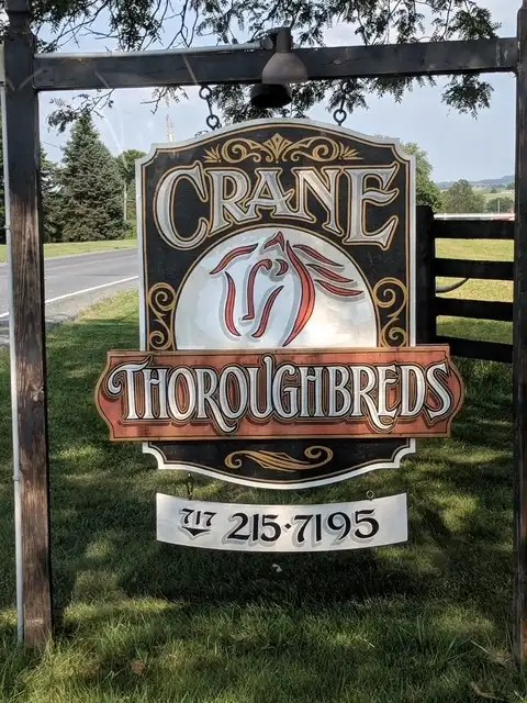 Crane Thoroughbreds 5