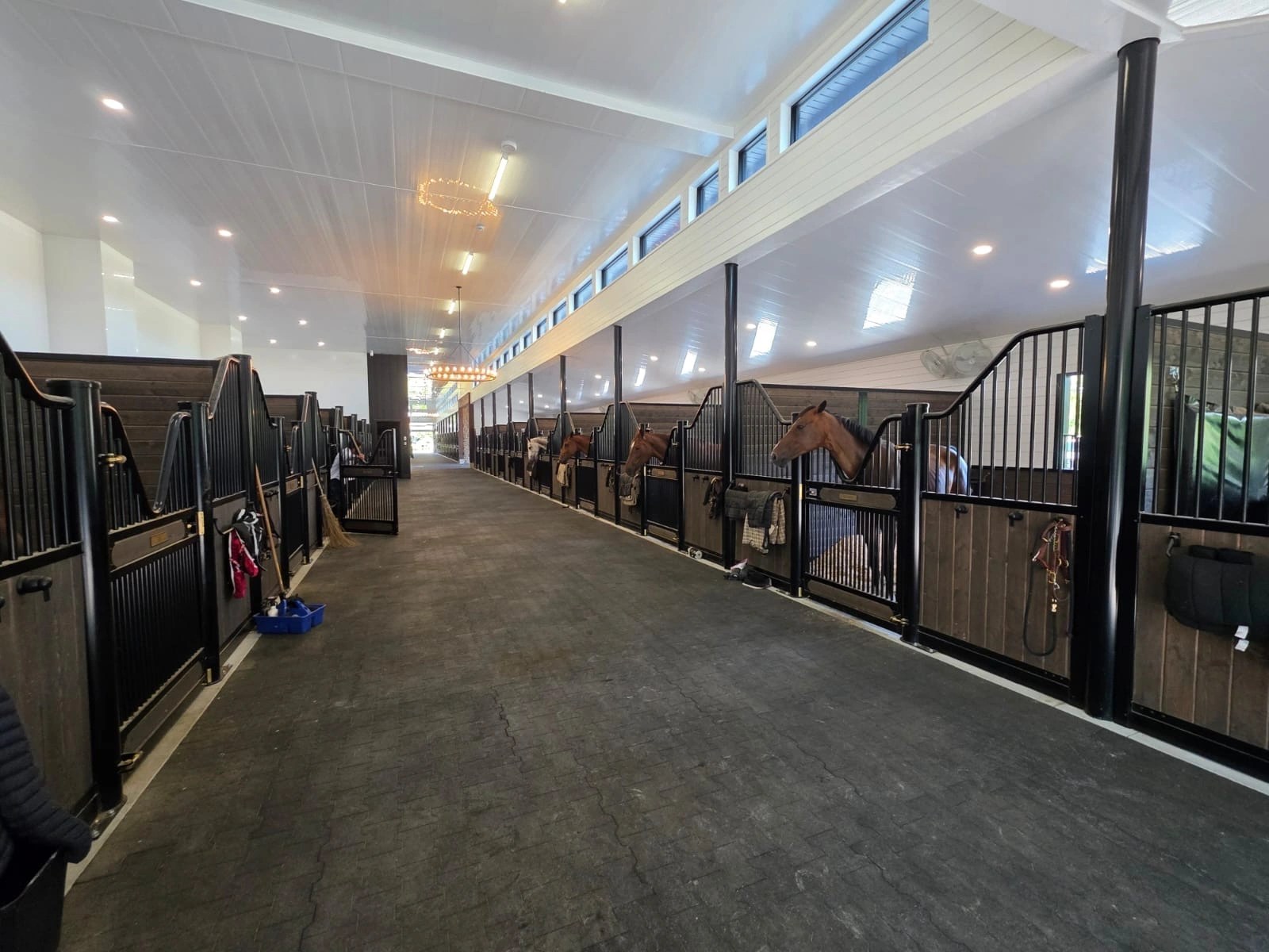 Modern equestrian facility interior featuring custom dark wood stalls, serving as the contact page background banner