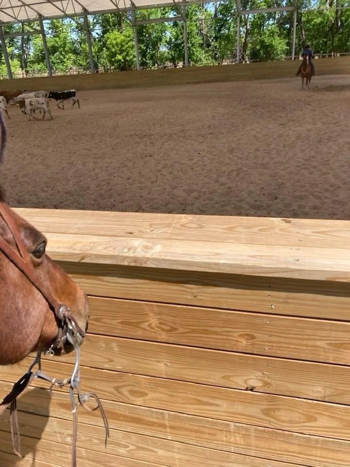 Private Reining Facility Kansas Arena kickwall