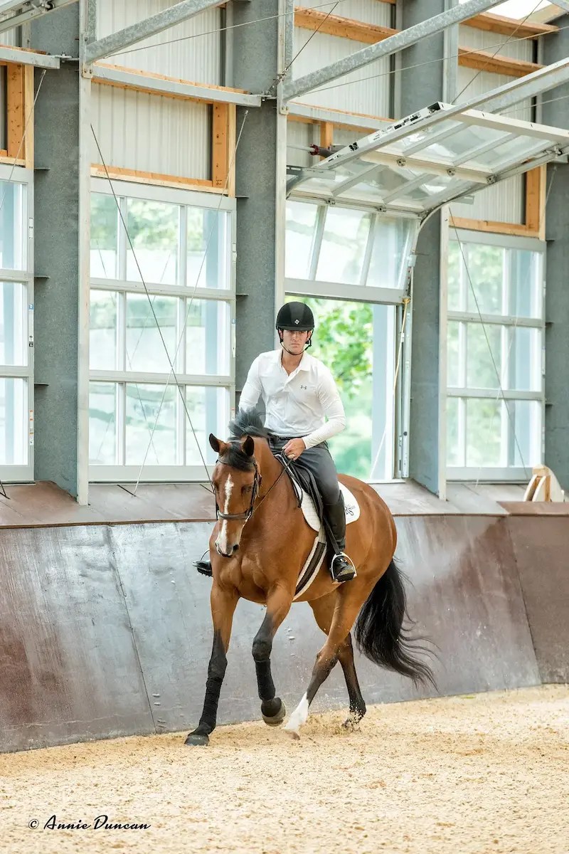 Rider performing flatwork exercises with a bay horse inside an indoor riding arena.