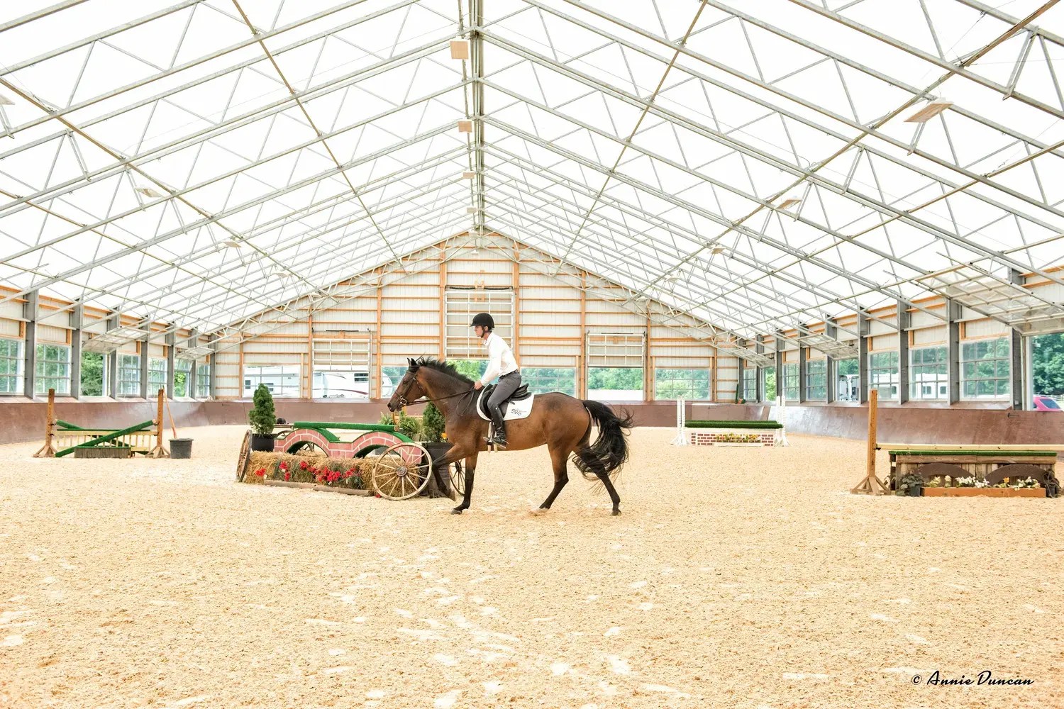 Hunter jumper horse working in a spacious indoor arena with training obstacles.