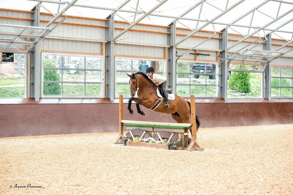 Custom Facilities for Elite Horse Riding Disciplines | Silver Trophy Equine