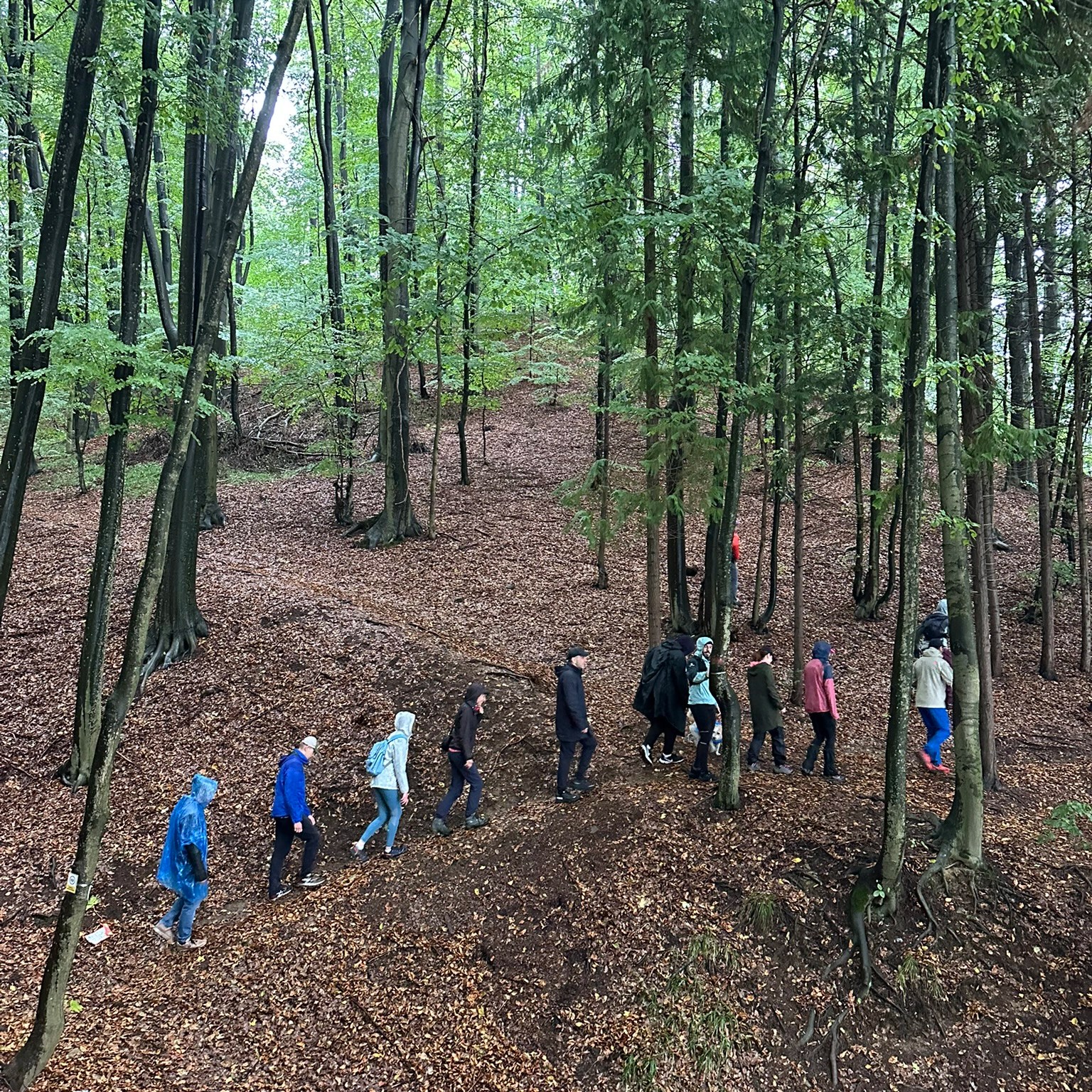 Inaugurare traseu Poteca Lacului Firiza