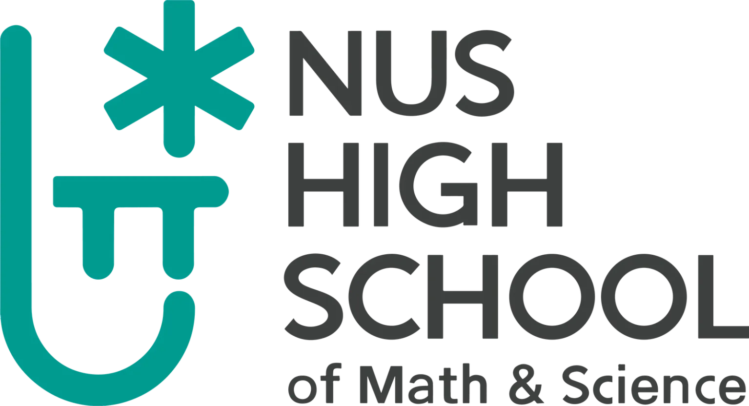 NUS High School Logo