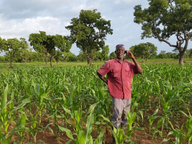 Best Phones for Ghanaian Farmers and Rural Business Owners