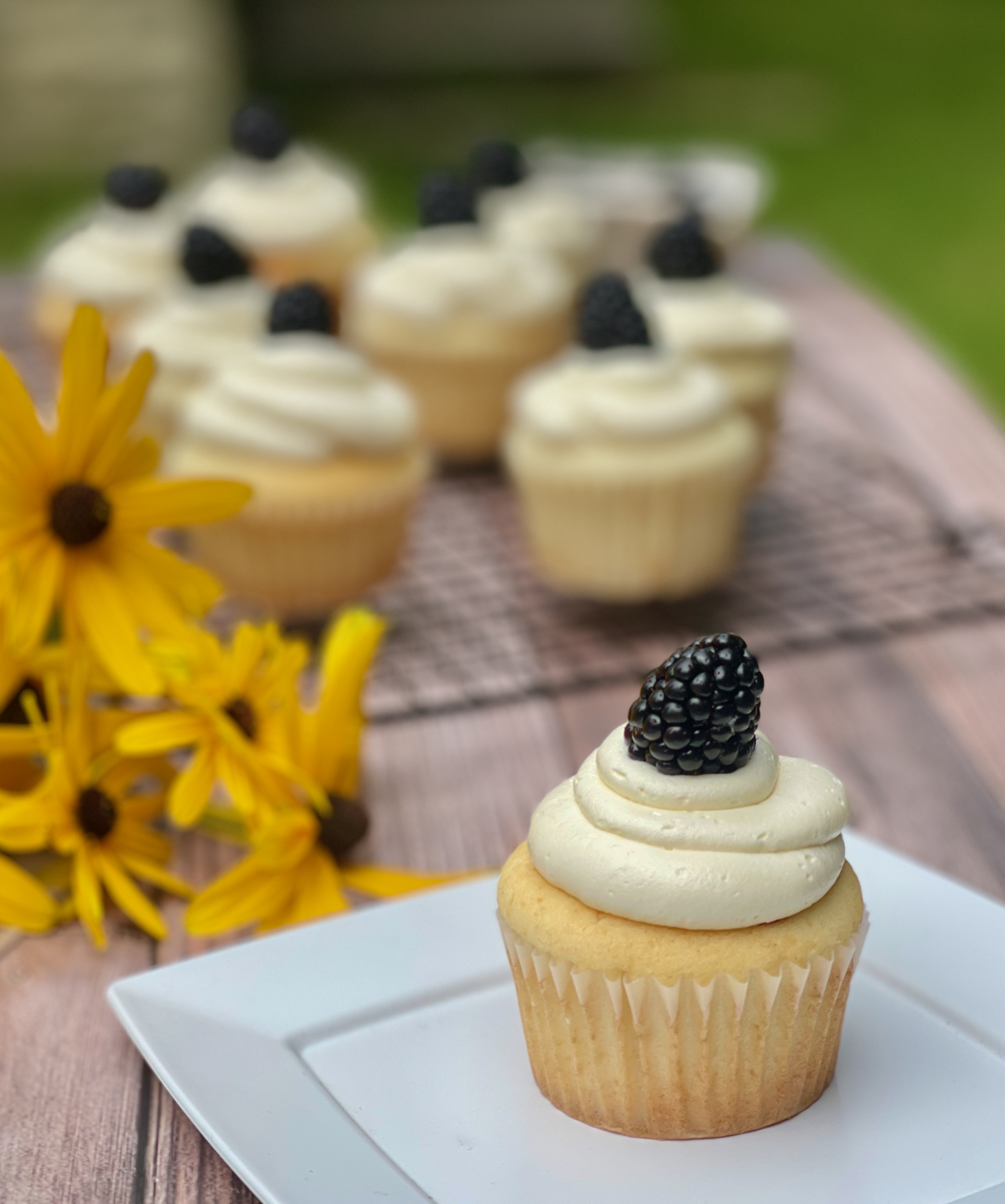 A gluten-free vanilla cupcake with blackberry filling and white chocolate frosting in the front, other cupcakes in the back, and yellow flowers on the table