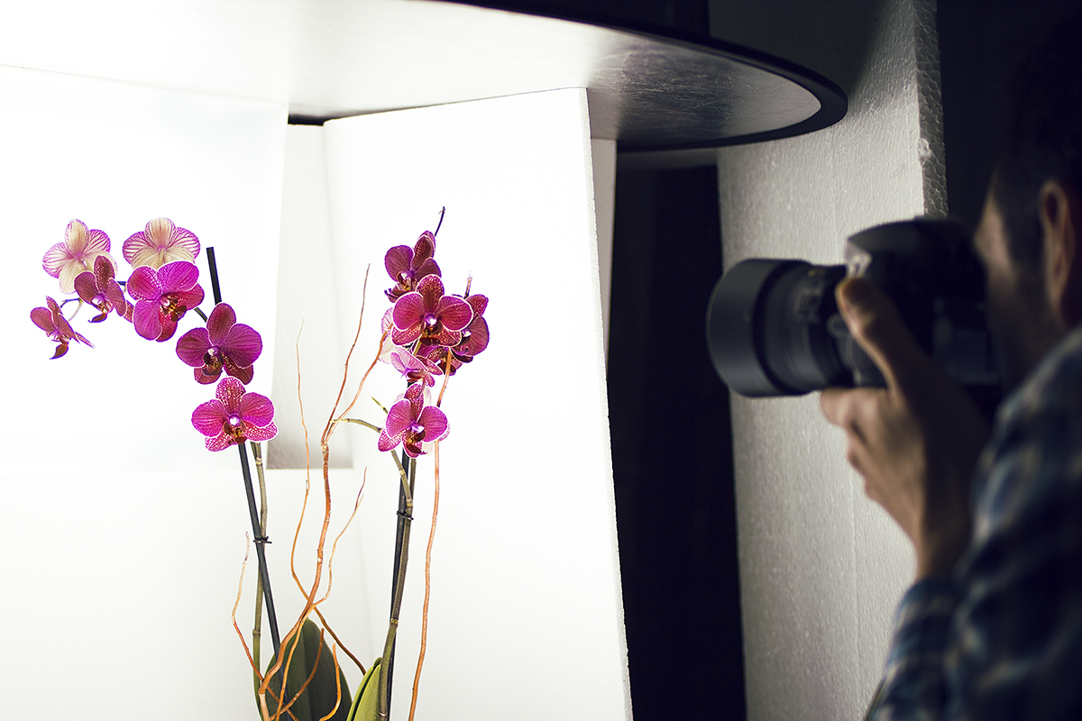 FOTOGRAFIA PLASENCIA