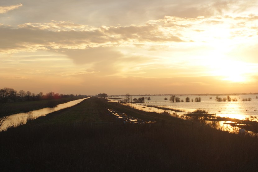 sunset1