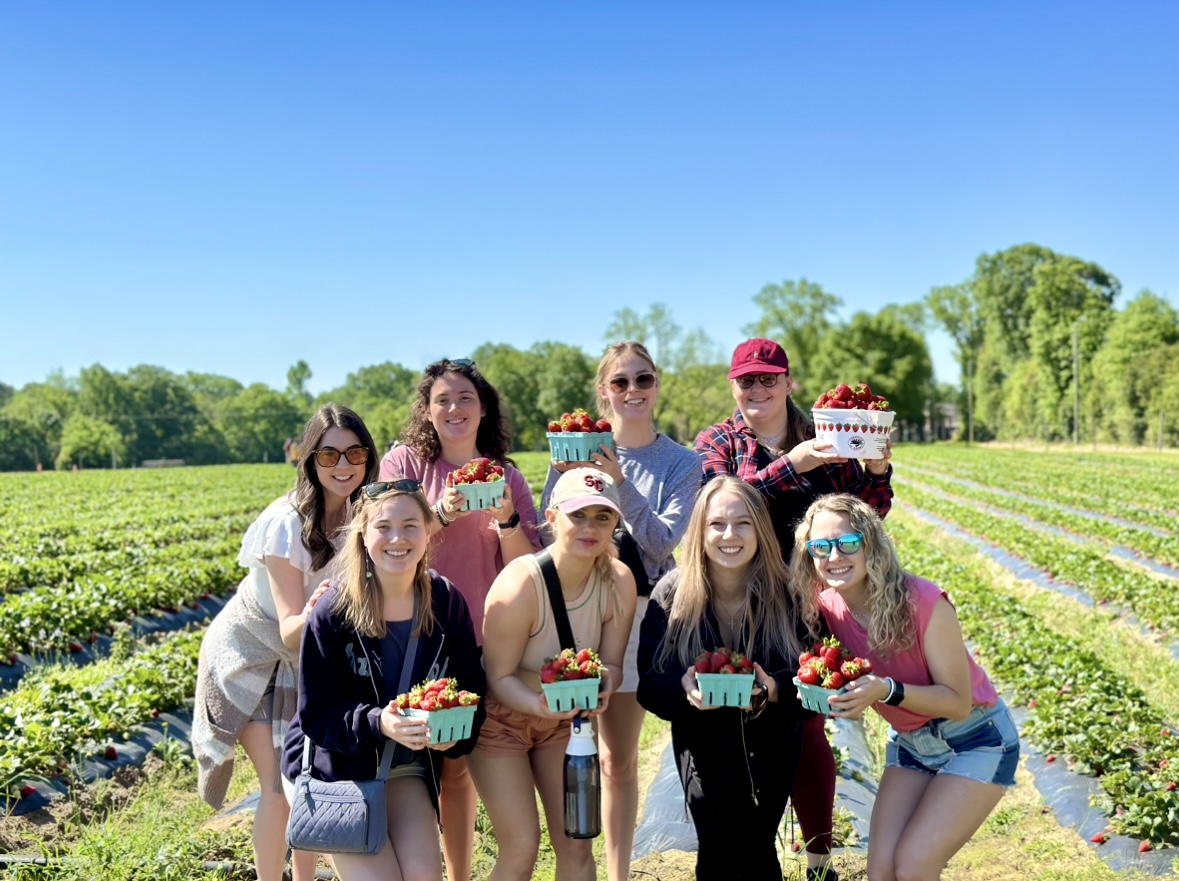 Strawberry picking!