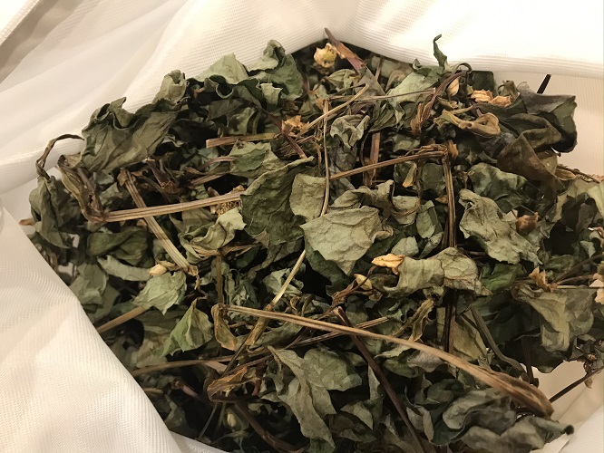 ドクダミ葉乾燥