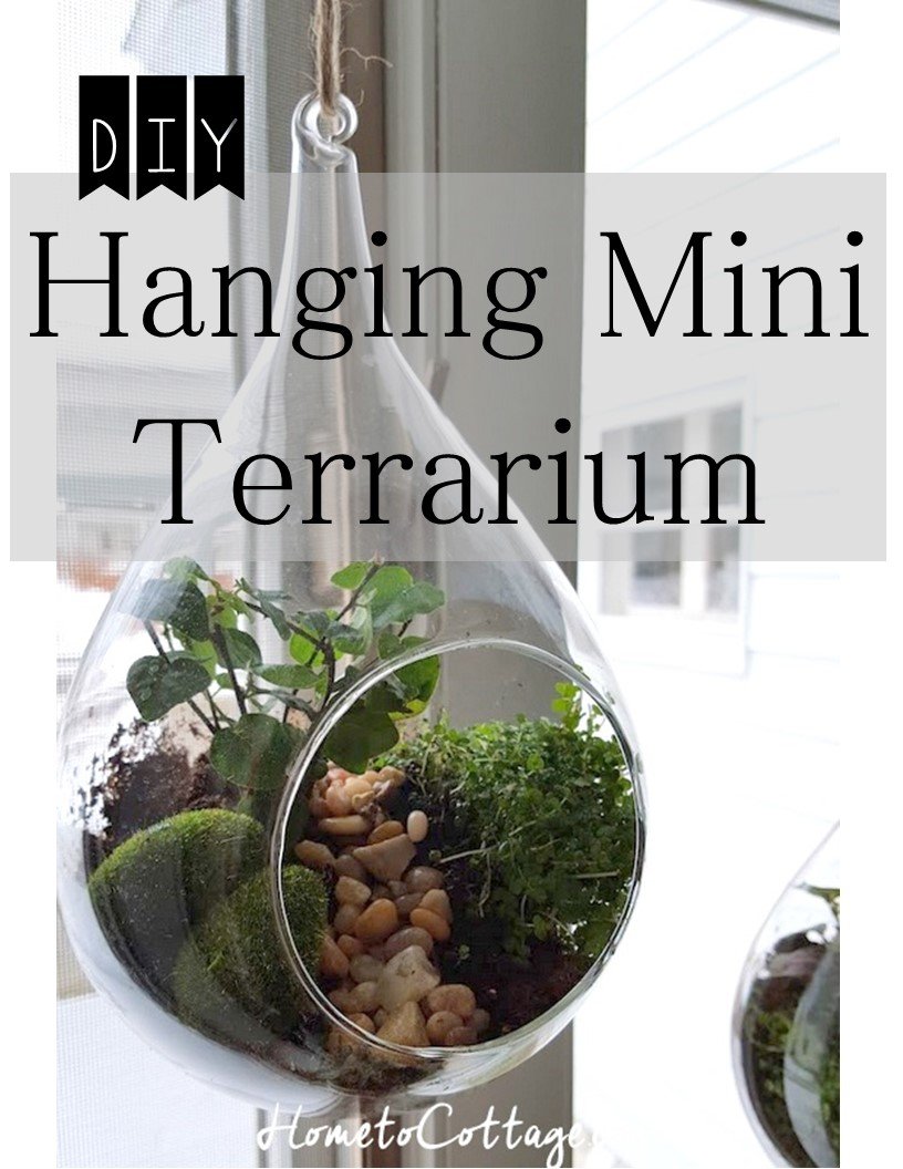 Hanging Terrarium, HometoCottage