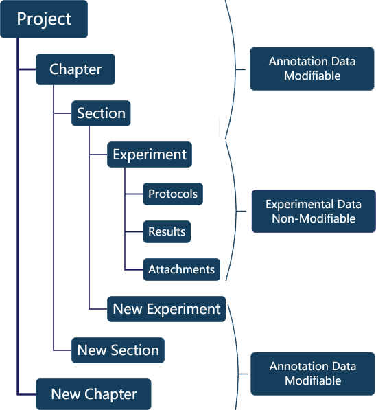 Structure Project Book - Creative High Resolution Nature Patterns | Free Download