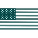 icon of a usa flag, belong to the citizenship application service