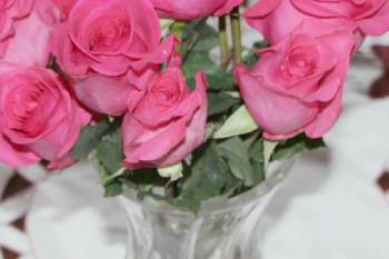 pink roses in crystal vase