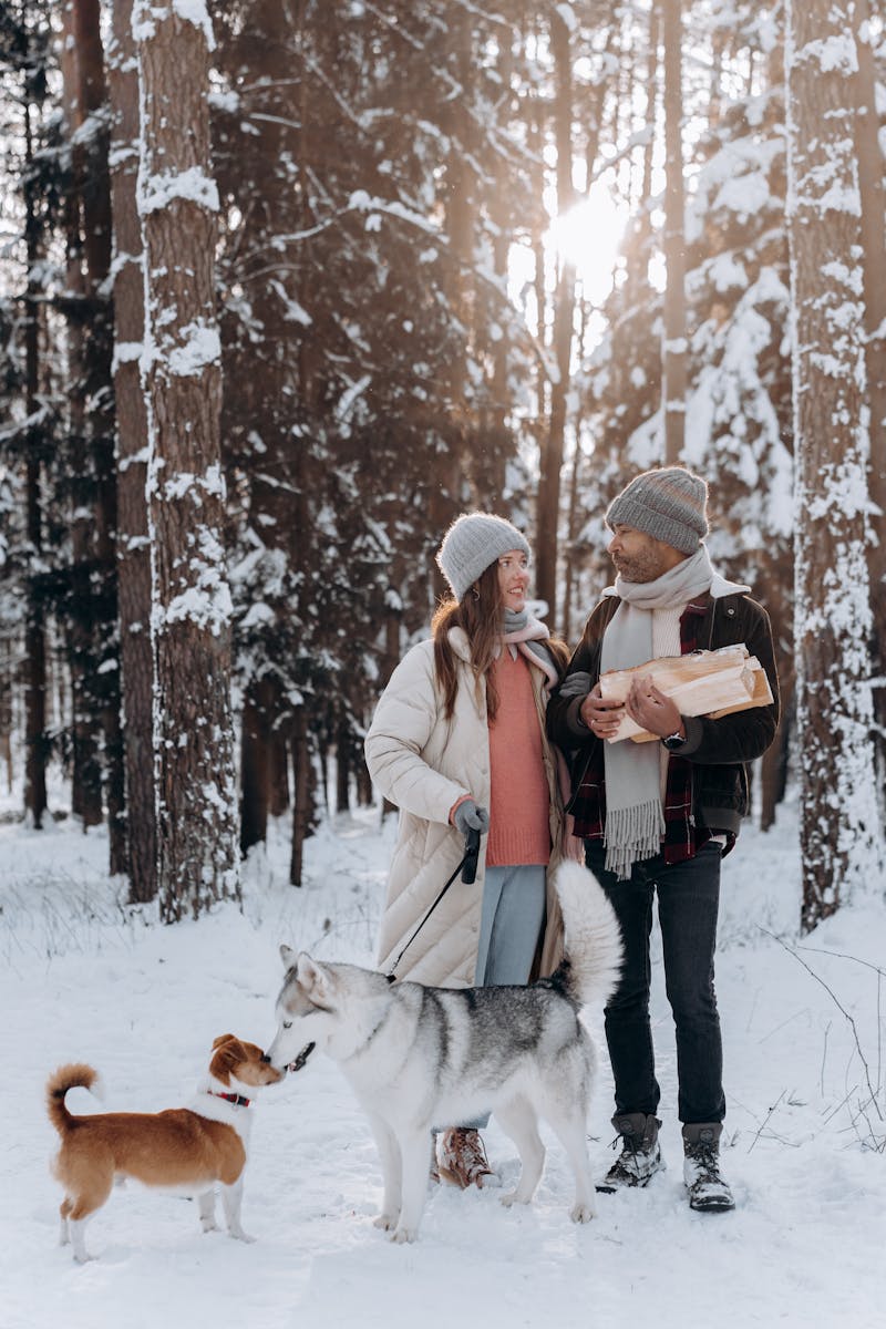 A happy couple walks their dogs in a serene snow-covered forest, enjoying a winter day.