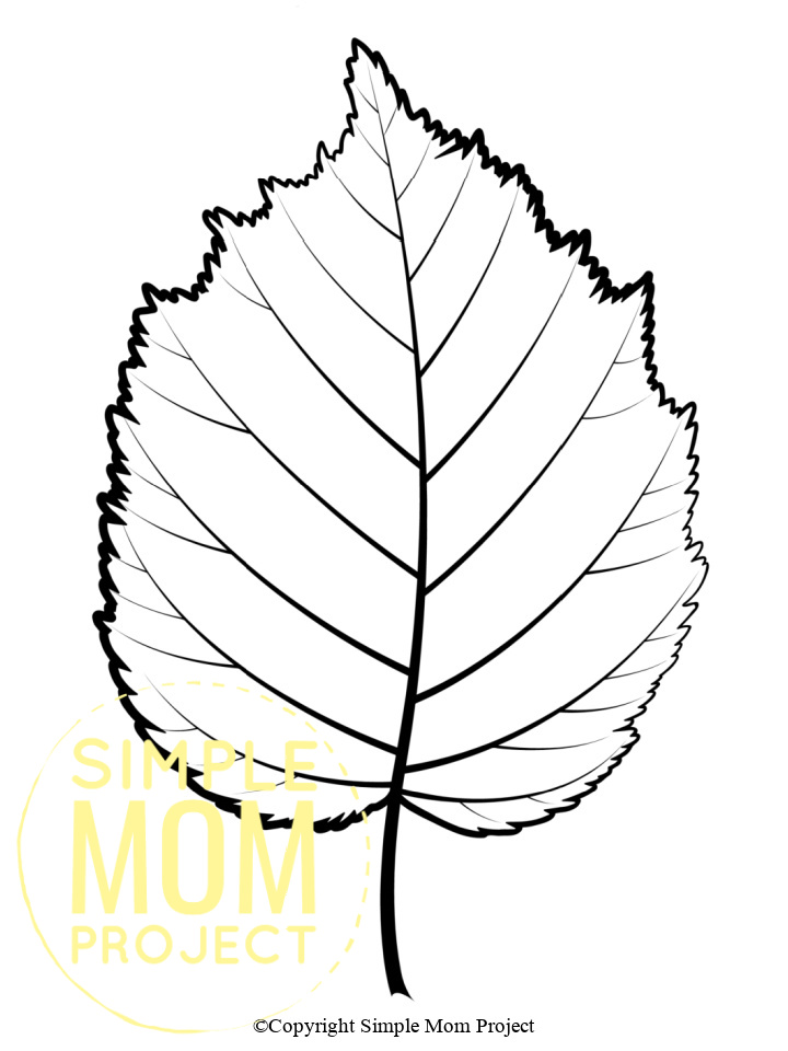free printable large leaf templates stencils and patterns