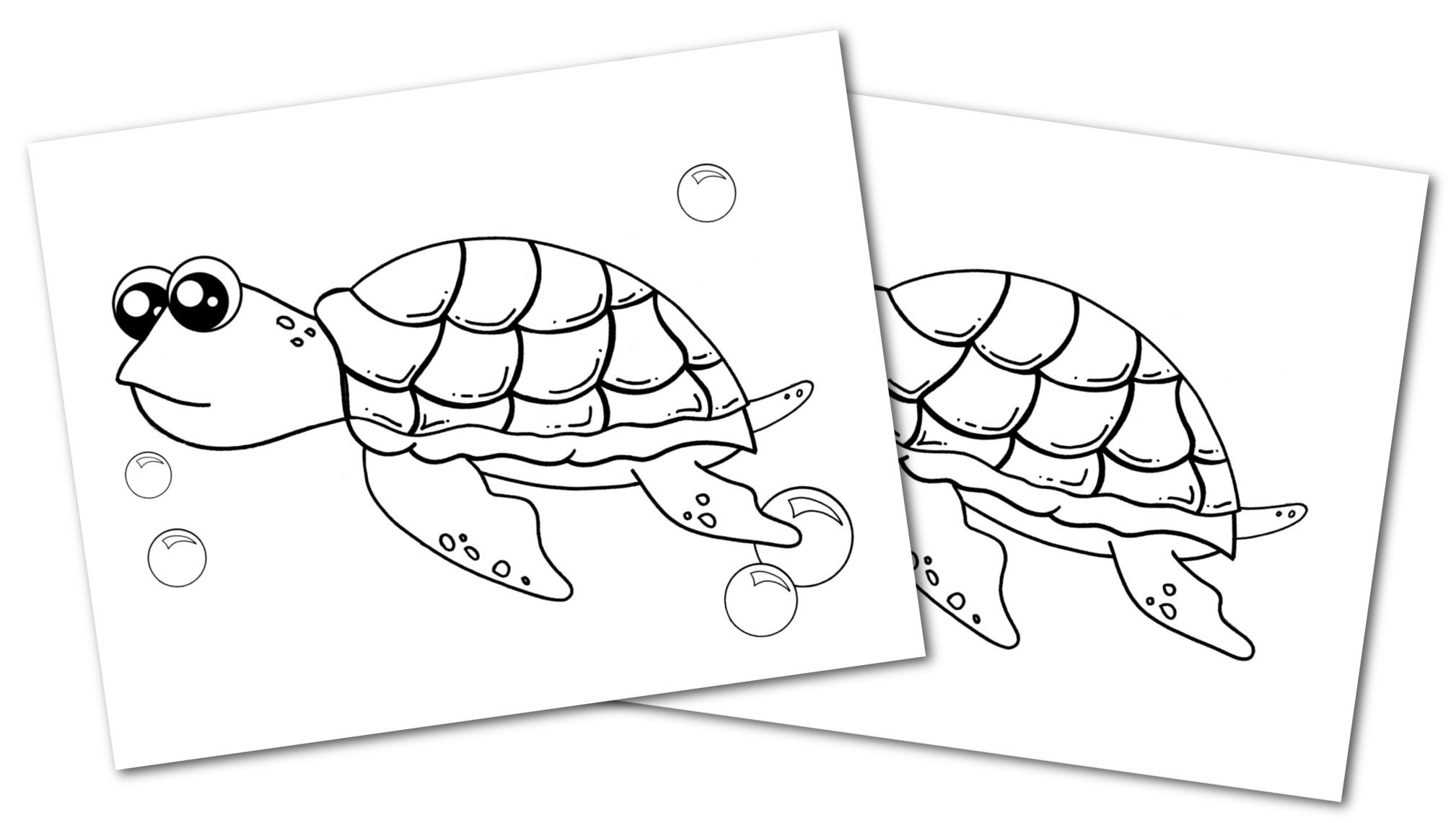 free printable turtle coloring page simple mom project