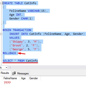 Sql Server Transactions Do You Understand These 6 Rules - Premium Nature Design Gallery - Desktop