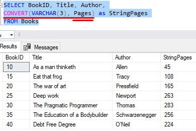 Sql Server Convert A How To Guide With Examples - Best Minimal Photos in HD