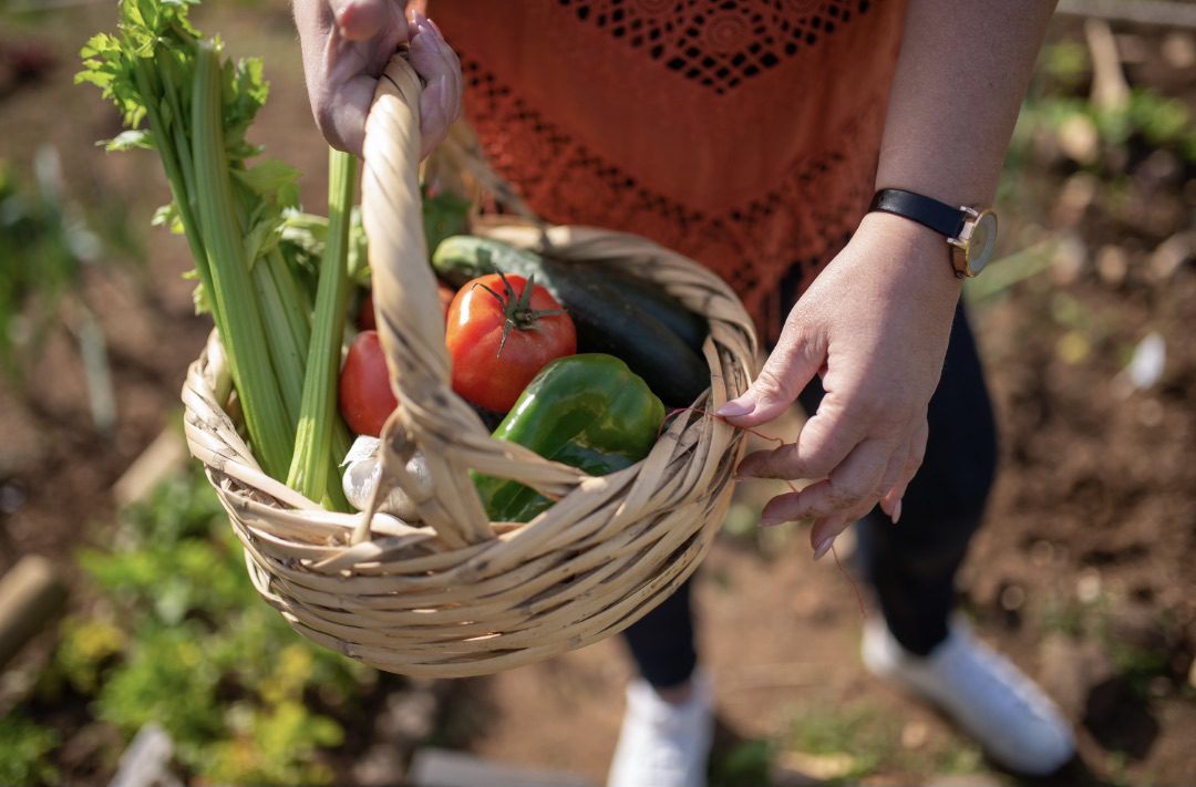 person holding basket of vegetables