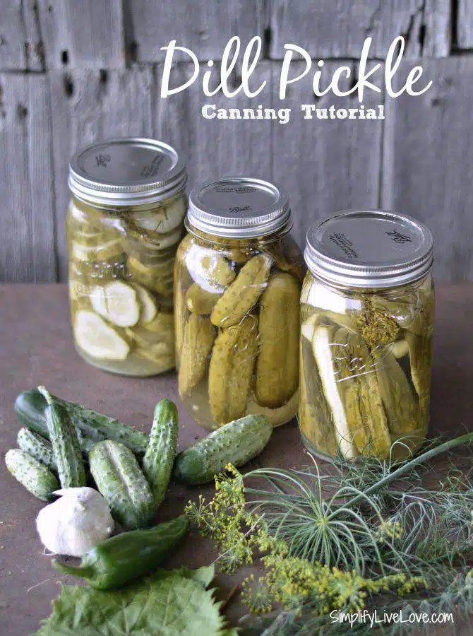 Yes, use it again, in the fridge.but, know that the foods that have been pickled have soaked up some of the salt/sugar mixture and likely . Dill Pickles Canning Tutorial Grandma S Secret Recipe Simplify Live Love