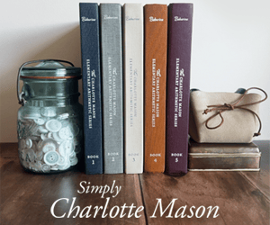 TheCharlotteMasonElementaryArithmeticSeries