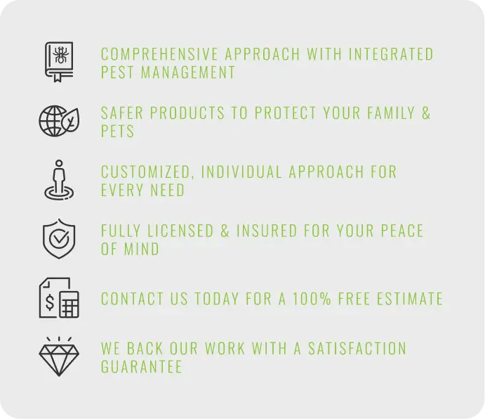 Termite inspection and treatment by Simply Green Pest Control