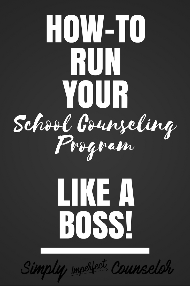 Elementary Counseling Program