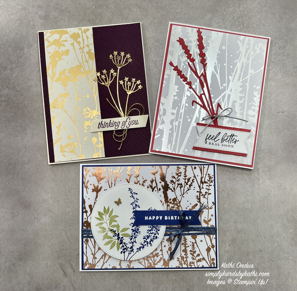Three Quick and Easy Cards Using Nature Inspired DSP