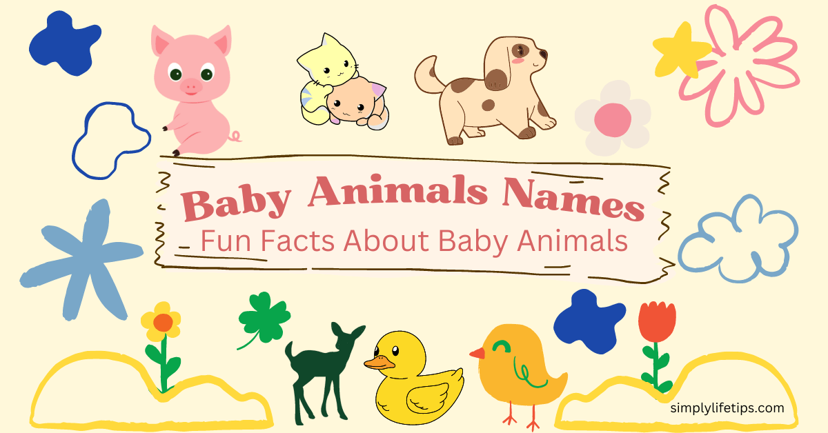 Baby animals names