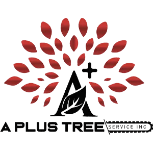 A+ Plus Tree Services. Kawartha Lakes. https://www.facebook.com/aplustreeserviceinc/