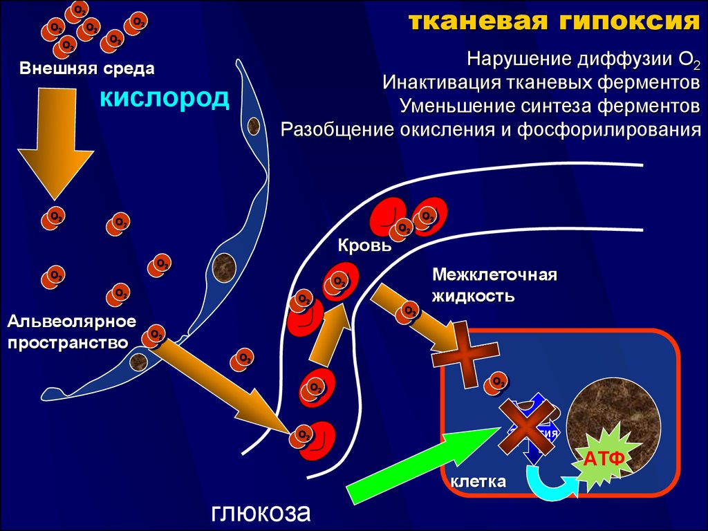 Кортексин уколы плюс новокаин для. Применение Кортексина для терапии детей: инструкция и отзывы