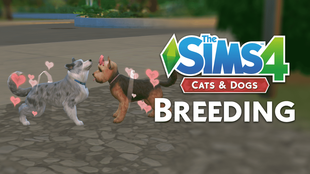 Here we have, fun games active and kind people lots of events and giveaways. The Sims 4 Cats Dogs Breeding For Profit